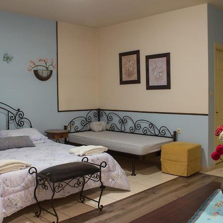 Akrolimnion Hotel 约阿尼纳 外观 照片