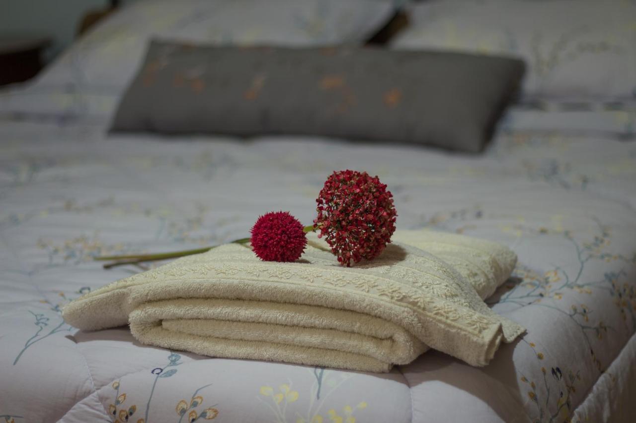Akrolimnion Hotel 约阿尼纳 外观 照片